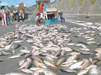 空中降魚(yú)視頻 揭秘罕見(jiàn)空中降魚(yú)現象原理,末日預兆恐怖的空中降魚(yú)實(shí)圖