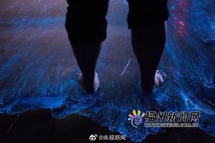 福建平潭“藍(lán)眼淚”如期而至 美得讓人窒息3