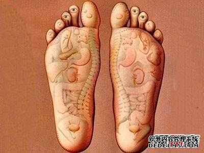 腳底肌