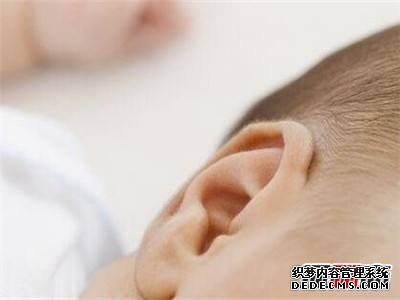 耳動(dòng)筋