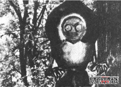 天鵝星人