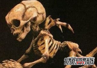 人類已知的50類外星人