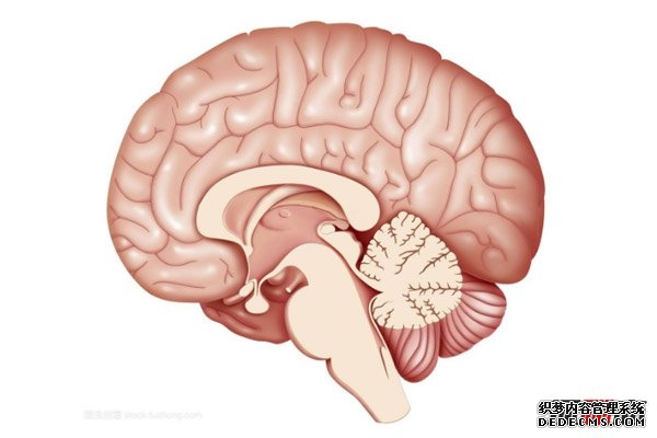 人類的大腦其實很可怕
