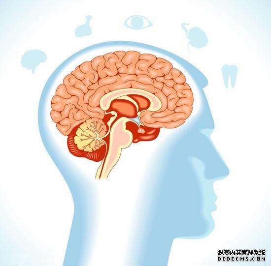人類的大腦其實很可怕