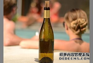 紅酒冷卻器
