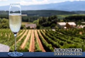 氣泡酒Cava