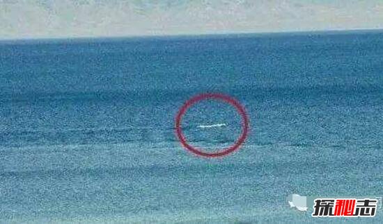 青海湖水怪之謎,體長超14米形似恐龍(視頻)