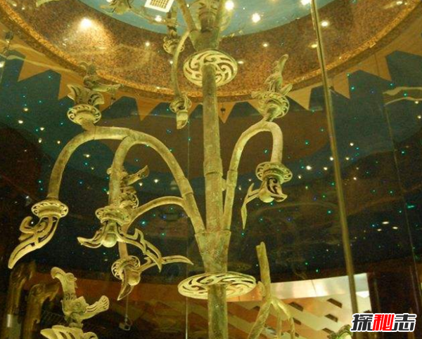 青銅神樹的秘密揭秘:青銅神樹為什么逆天?