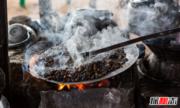 全球十大咖啡生產(chǎn)國 越南排第二,第五美譽(yù)為咖啡之鄉(xiāng)