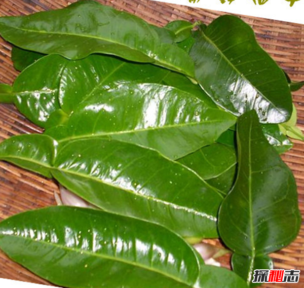 辟邪的東西有哪些?實用的十大辟邪物品(剪刀辟邪驅(qū)鬼擋煞氣)