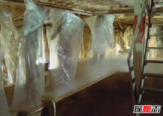 詭異的彭加木事件,彭加木攜帶病毒失蹤引發(fā)大量復(fù)制人