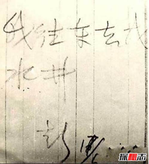 詭異的彭加木事件,彭加木攜帶病毒失蹤引發(fā)大量復(fù)制人