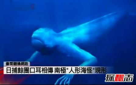 日捕鯨船,南極“人形海怪”之謎(意味著什么)
