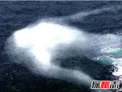 日捕鯨船,南極“人形海怪”之謎(意味著什么)