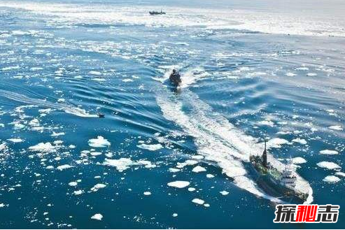 日捕鯨船,南極“人形海怪”之謎(意味著什么)