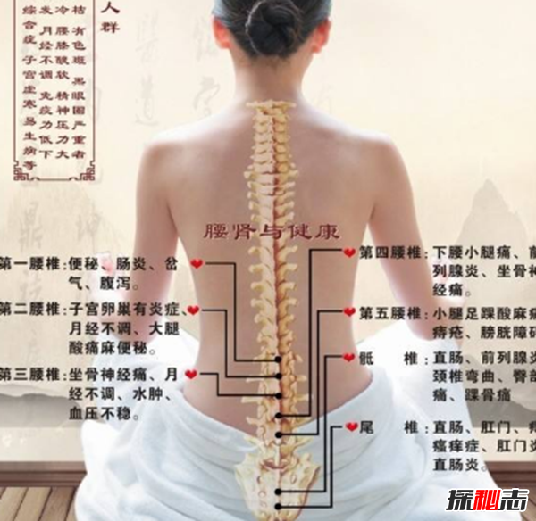 男人吃什么補(bǔ)身體?男人養(yǎng)腎最佳10食物