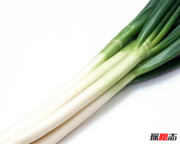男人吃什么補(bǔ)身體?男人養(yǎng)腎最佳10食物