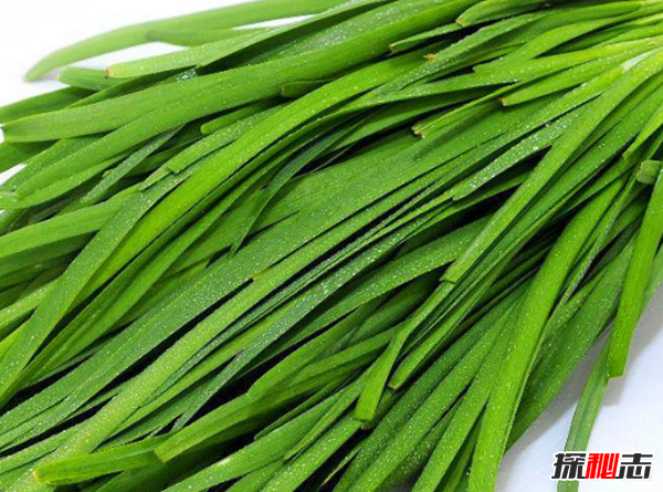 男人吃什么補(bǔ)身體?男人養(yǎng)腎最佳10食物