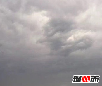 飛機上拍到真龍,真龍現(xiàn)身征兆著什么?