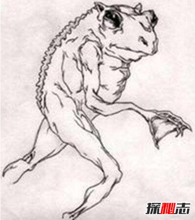怪異的拉夫蘭青蛙人,人與青蛙交配的結(jié)果?