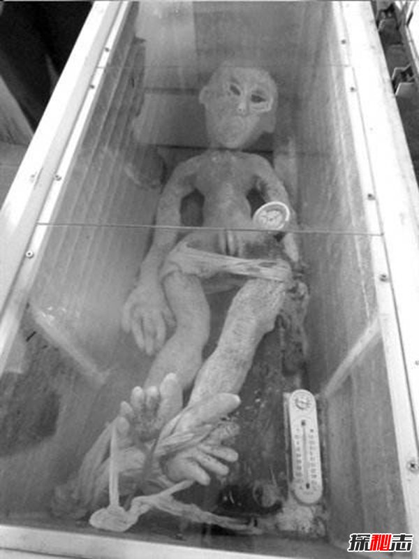 電網(wǎng)電死外星人是真的嗎?揭秘電死外星人事件的真相