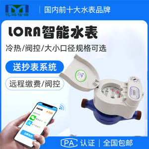 LoRa水表