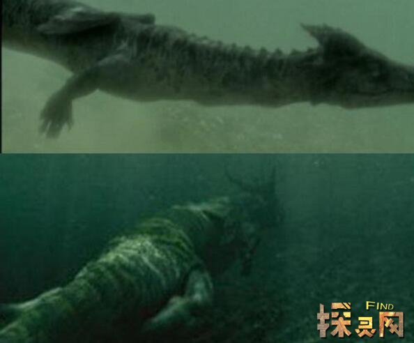 青海湖靈異事件