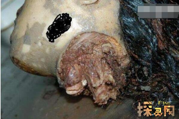 卡林娜·巴杜奇揚(yáng)